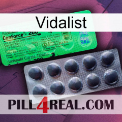 Vidalist new04